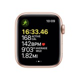 Apple Watch SE 44mm GPS+Cellular Gold